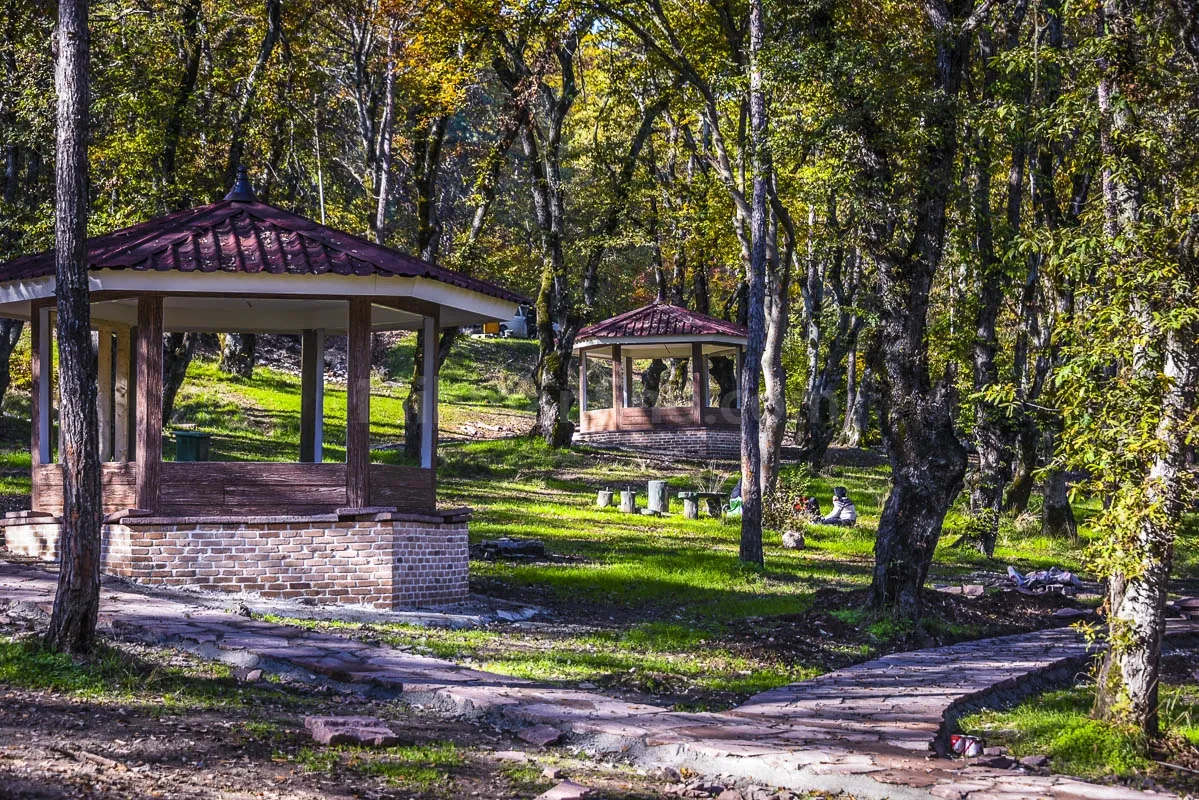 بوستان‌های جنگلی غرب مازندران روز طبیعت باز است