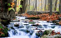 دره چهلمیر درگز ۲ روز تعطیل شد