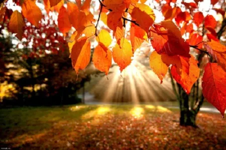 آغاز پاییز هواشناسی