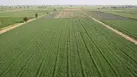 تثبیت مالکیت اراضی کشاورزی با صدور اسناد در آبادان