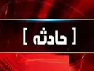 گازگرفتگی سگ، واکسیناتور دامپزشکی را راهی مرکز درمان کرد