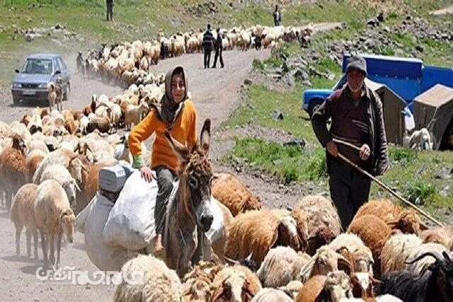 ادغام یا انحلال سازمان عشایری، مشکلات دامداران را تشدید می‌کند