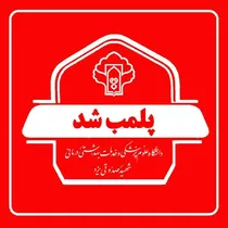 پلمب فروشگاه متخلف عرضه مواد شوینده و آرایشی در یزد