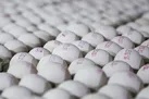 ۲ کانتینر تخم مرغ وارداتی معدوم شد