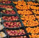۱۱۰ محل برای توزیع میوه شب عید در استان همدان ایجاد شد