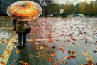 بارش باران در برخی از نقاط کشور | پایداری هوا از هفته آینده
