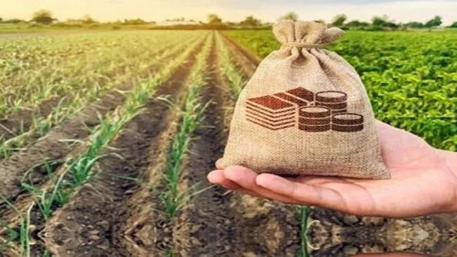 نیازمند تعریف بسته‌های حمایتی فوری برای حفظ توان تولیدکنندگان هستیم