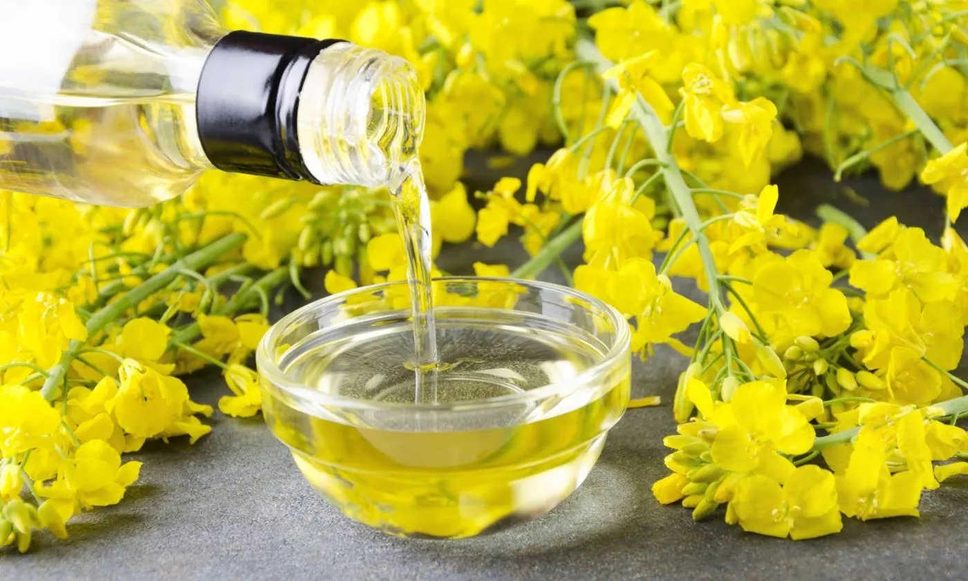روغن کانولا سالم‌تر است یا روغن نباتی؟