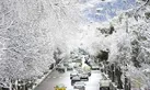 کاهش محسوس دما در پایان هفته
