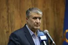 اسلامی: ایران اقدامات حقوقی در ارتباط با بی‌عملی‌های گروسی را پیگیری می‌کند