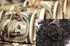 چرا فساد دبش سیستماتیک نیست؟ | پشت‌ پرده سیاسی‌زدگی فساد