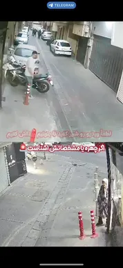گردنبندقاپ جنجالی تهران دستگیر شد
