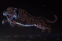 ببینید | یک ببر در آسمان!