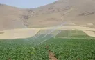 پیگیر تامین اعتبار “سامانه سردسیری” هستیم