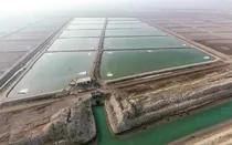 سیستان‌وبلوچستان پایتخت پرورش میگو
