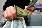 قیمت ارز در صرافی‌ ملی و مرکز مبادله چند؟