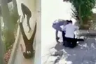 خشونت بدون روتوش