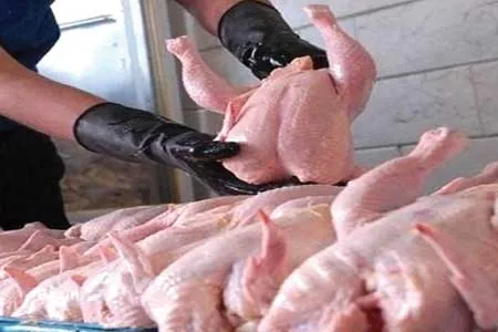 راهکار‌های تشخیص گوشت تازه مرغ هنگام خرید