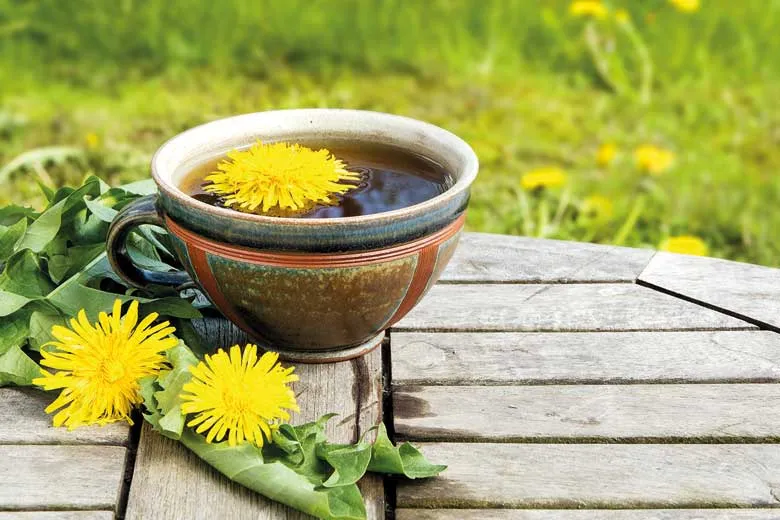 زندگی سالم، از اولین شنبه کاری