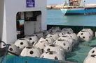 توسعه و مديريت مناسب زيستگاههاي مصنوعي يك سرمايه‌‌‌گذاري پایدار است