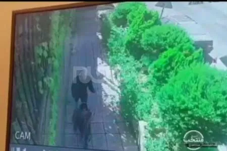 ببینید | سرقت از زنان با روش «خفه کنی»