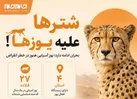 عکس نوشت | «جام‌جم» در گفت‌و‌گو با مدیرکل حفاظت محیط‌زیست سمنان آخرین وضعیت یوزپلنگ آسیایی را بررسی کرده است