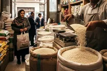 بازار برنج از بحران خارج می‌شود ؟
