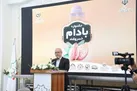 بادام محصولی که باید به نام خسروشاه ثبت شود