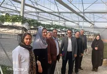 اجرای طرح زمین‌گرمایی و کشت معلق در استان مرکزی
