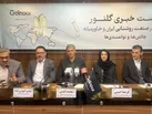 روایت سه‌دهه پیشگامی در صنعت روشنایی و چالش‌های امروز