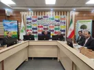 تولید ۴۰ میلیون اصله نهال در استان البرز در راستای طرح مردمی کاشت یک میلیارد درخت