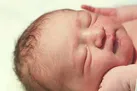تولد نوزاد عجول در ارتفاع ۹ هزارپایی! (فیلم)