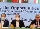 اتاق بازرگانی هرمزگان رتبه سوم کشور در جذب سرمایه‌گذار خارجی را دارد
