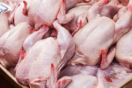 قیمت واقعی مرغ برای مصرف کننده ۳۰ هزار تومان است
