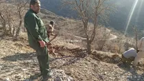 بازگردانی ۵۸ هزار مترمربع از اراضی ملی در شهرستان دنا