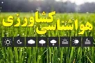 خشکسالی در مناطق جنوبی شدید است