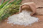 مجوز ترخیص ۱۳ هزار تن برنج وارداتی صادر شد