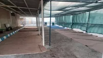 تخلیه کامل اردوگاه میلک پس از بازگشت مهاجران