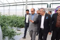 منابع طبیعی گیلان در اختیار سرمایه‌گذاران کشاورزی و تولیدی قرار می‎گیرد