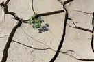 تداوم کم بارشی و خشکسالی در نیمه اول پاییز ۱۴۰۰