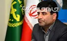 صادرات مرغ نداریم