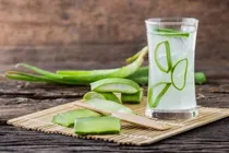 طرز تهیه شربت آلوئه ورا