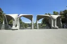 رمزگشایی از یک خیانت داخلی به نخبه‌ها