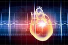 ارتباط سابقه ناباروری با افزایش خطر نارسایی قلبی