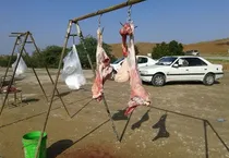 مقابله با کشتار غیرمجاز و تأمین سلامت غذایی، اولویت اصلی دامپزشکی کرمانشاه است
