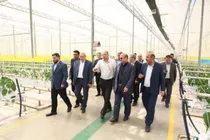 بزرگترین گلخانه مدرن خاورمیانه در آذربایجان شرقی قرار دارد