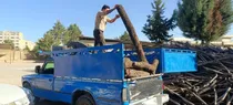 کشف و توقیف بیش از ۳ تن چوب و زغال قاچاق در کهگیلویه و بویراحمد