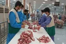 نظارت شرعی و بهداشتی بر ۲ هزار راس دام زنده و لاشه دام در آذربایجان‌شرقی