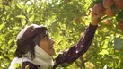 همه مادران شهدا یک نفر هستند