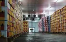 بیش از ۱۱۷ میلیارد تومان اعتبار برای تقویت سردخانه های خراسان جنوبی